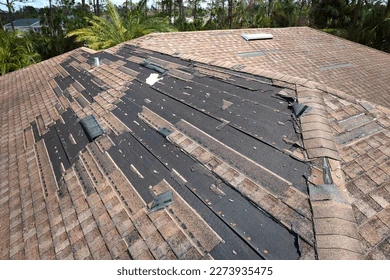 Storm Damage Repair services in Staten Island, NY